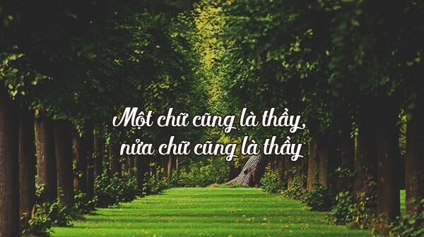 cau-noi-hay-ve-nha-giao-2